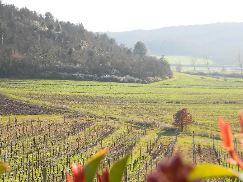 Agriturismo Podere La Selva Villa Serre Di Rapolano