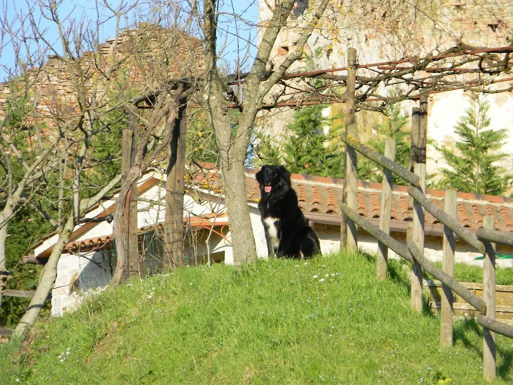 Farm stay Agriturismo Podere La Selva Villa Serre Di Rapolano