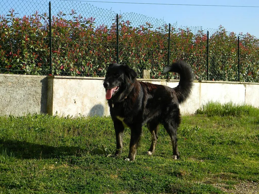 Agriturismo Podere La Selva Villa Serre Di Rapolano 0*,