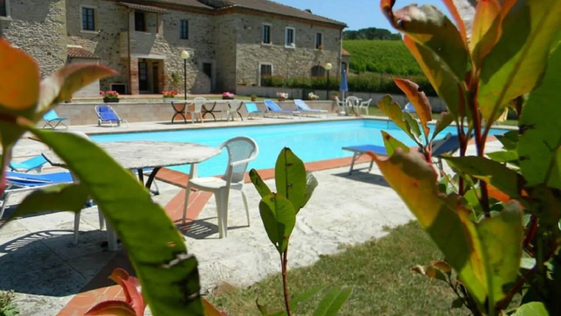 Farm stay Agriturismo Podere La Selva Villa Serre Di Rapolano Italy
